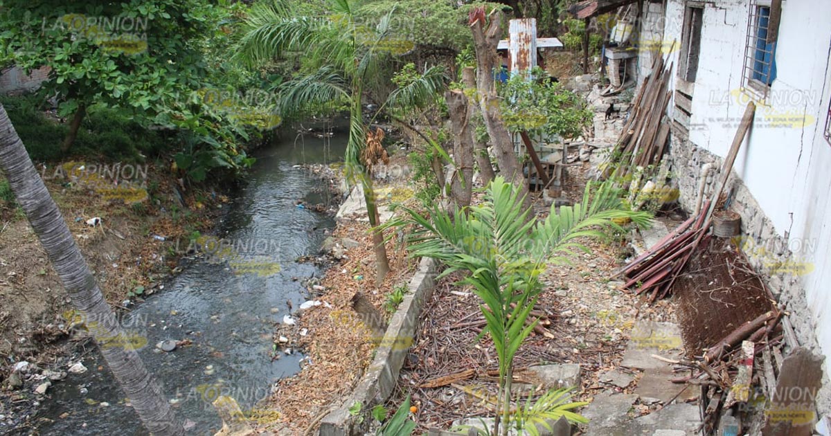 Exhortan a denunciar a quienes tiran basura