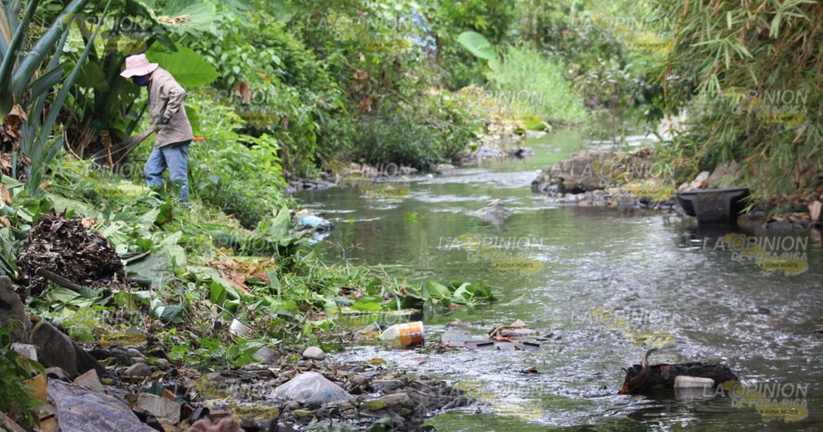 Exhortan a denunciar a quienes tiran basura
