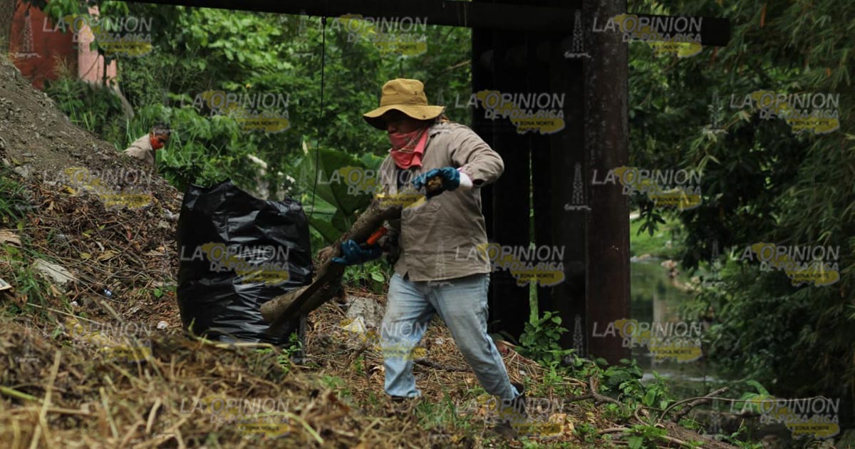 Exhortan a denunciar a quienes tiran basura