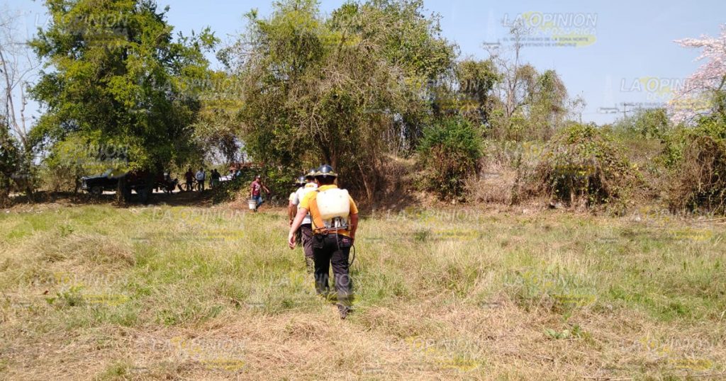 Incendio consume pastizal