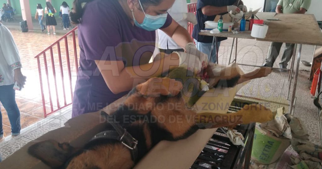 Llevan campaña de salud a Agua Dulce