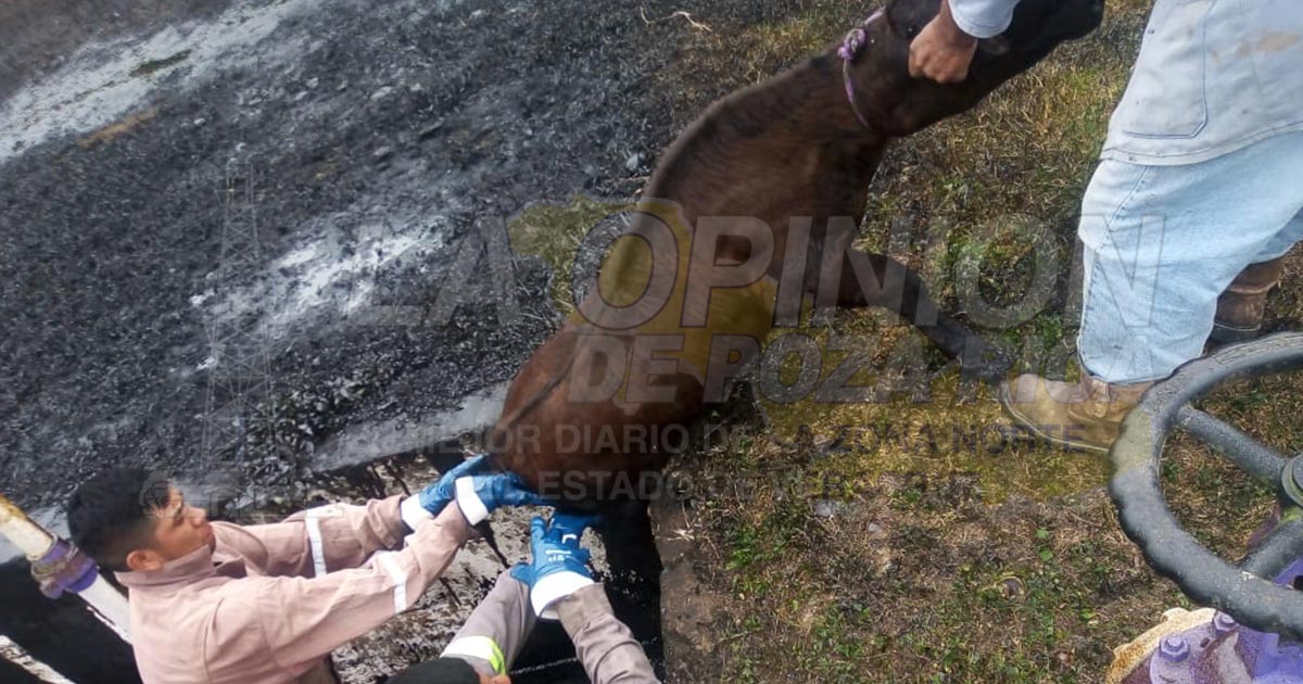 Pemex evade pago de daños