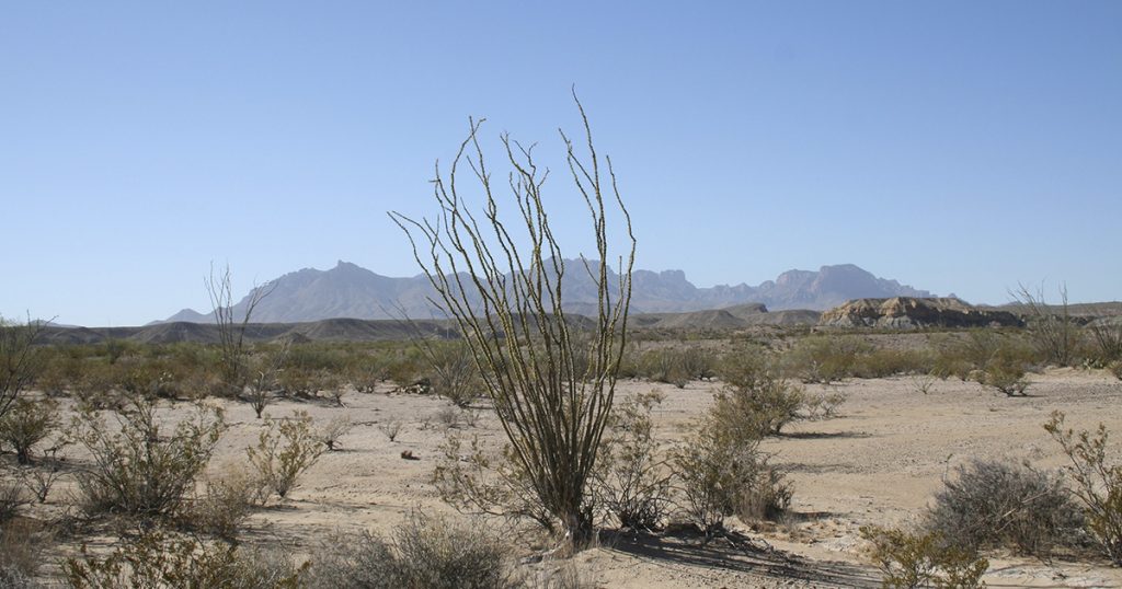 Rescatan a migrante embarazada perdida en el desierto de Chihuahua