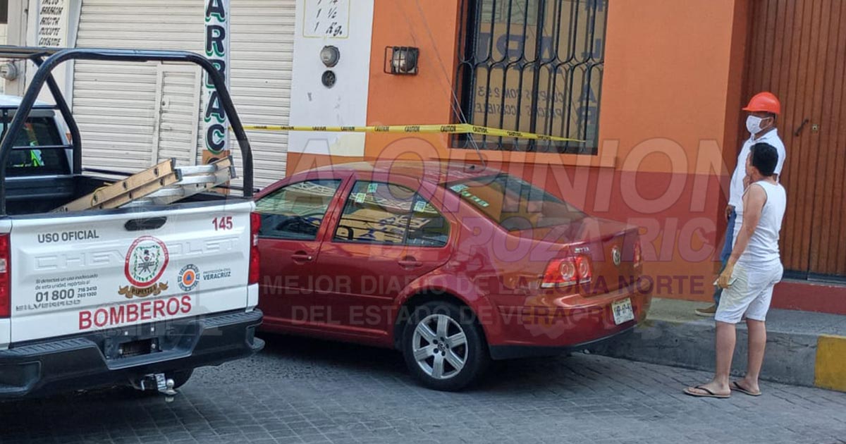 Bomberos voluntarios atienden presencia de abejas