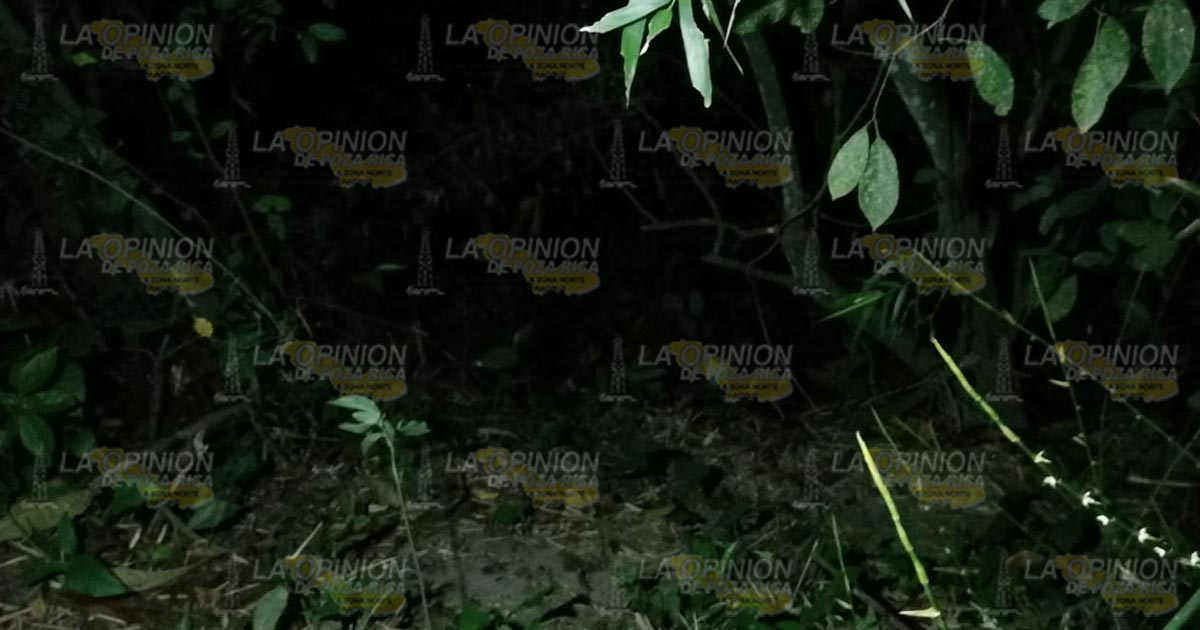 Hallan a hombre muerto en San Rafael