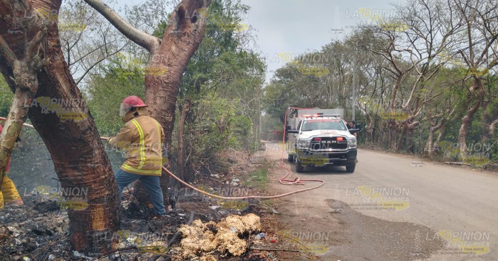 Se incendia pastizal en Arroyo del Arco