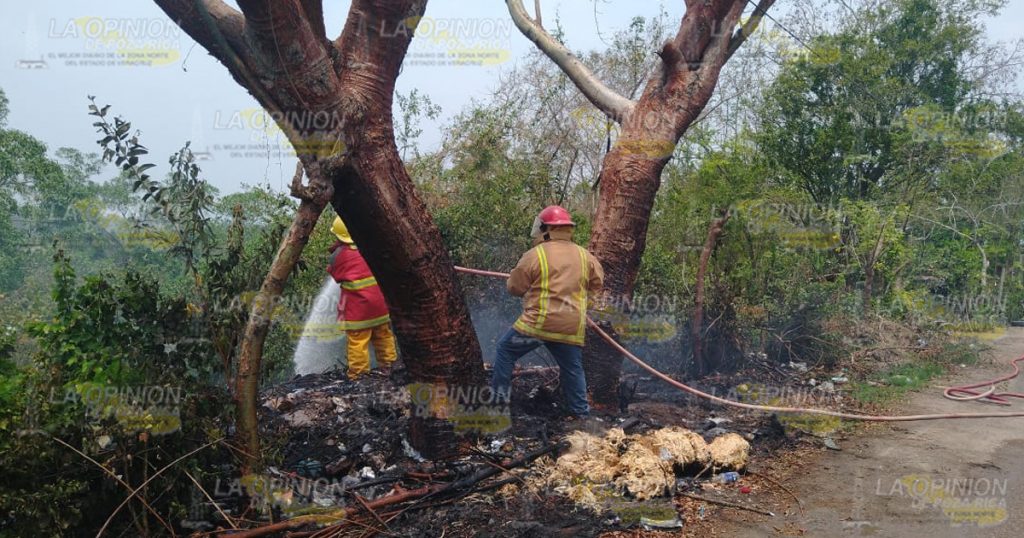 Se incendia pastizal en Arroyo del Arco