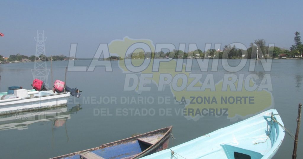 Cae en 70% producción de pescados y mariscos