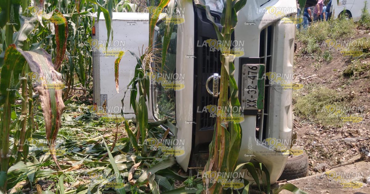 Vuelca camioneta que transportaba pollos