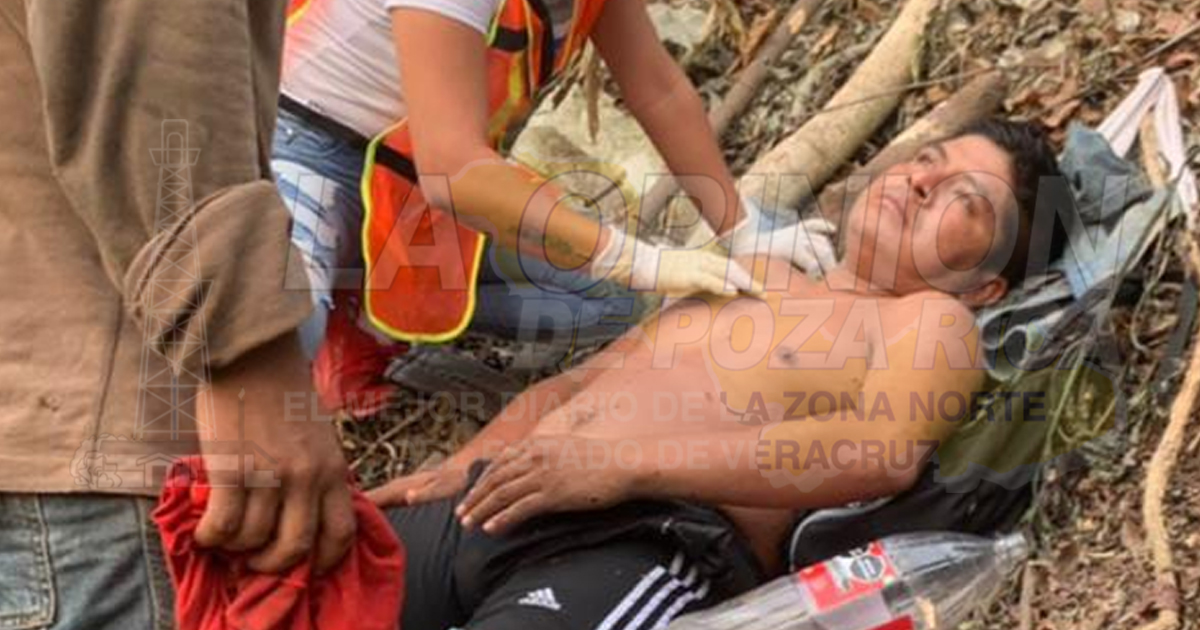 Sufre peligrosa caída de un árbol