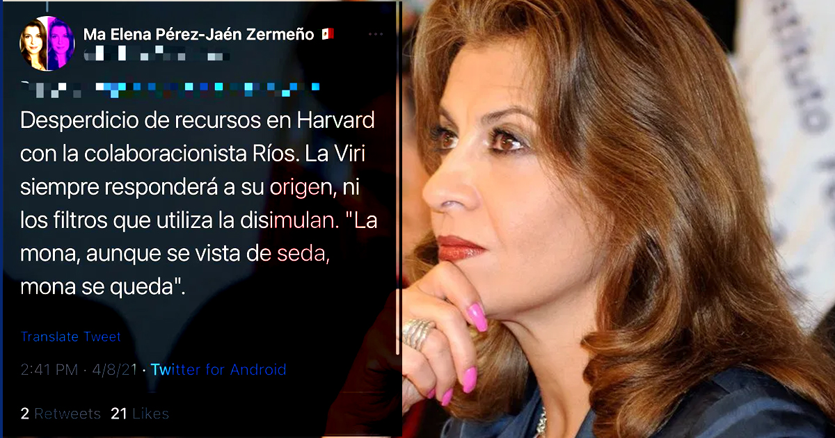 La panista María Elena Pérez-Jaen blinda cuenta en Twitter, tras su ataque racista y clasista a Viri Ríos