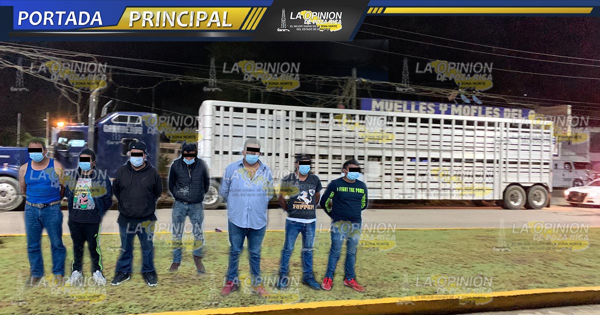 Aseguran 70 cabezas de ganado