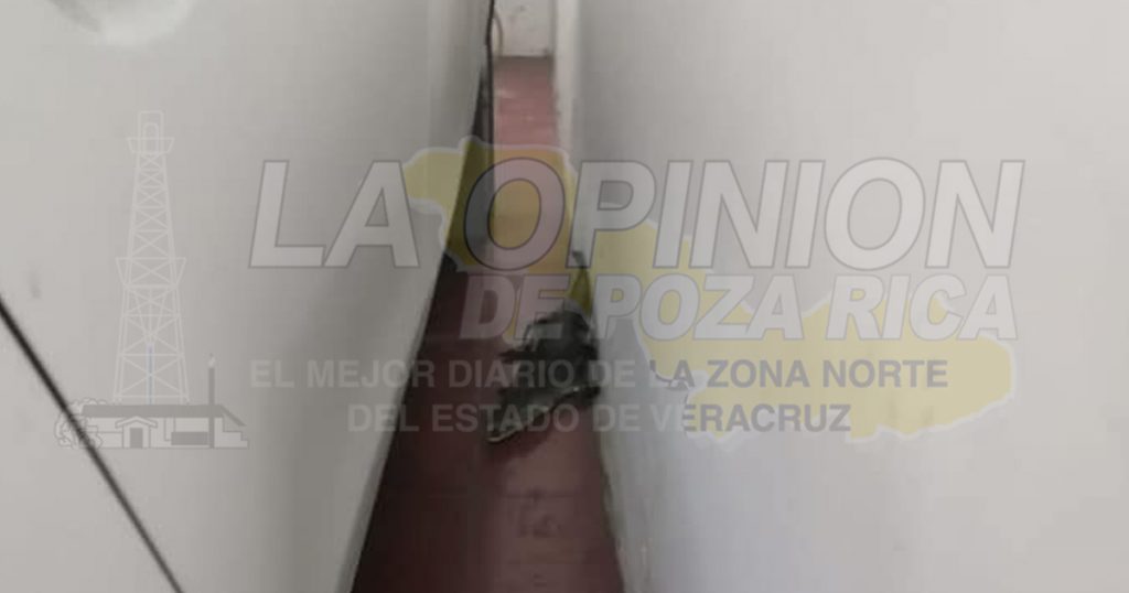 Alertan por presencia de cocodrilos