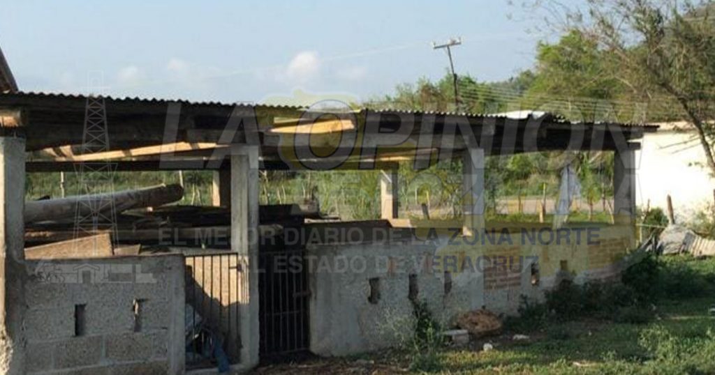 Exhortan a ganaderos a reportar daños por fuerte norte en Pánuco