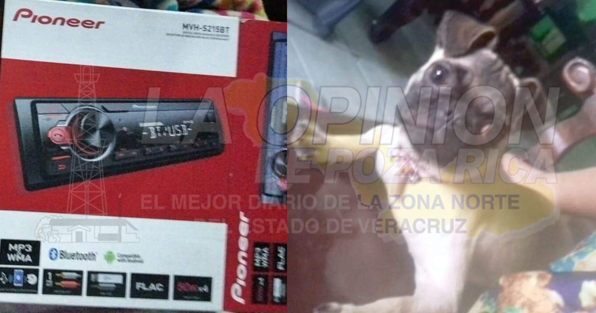 ¡Saquean vivienda en la colonia El Moreno!