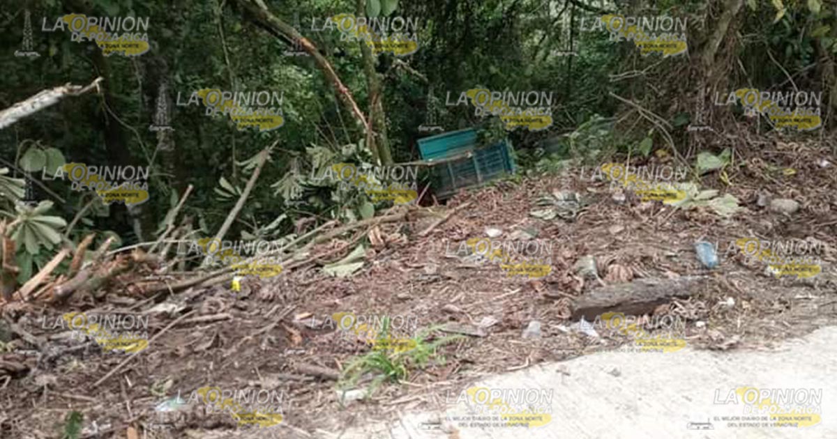 Camioneta cae a un barranco