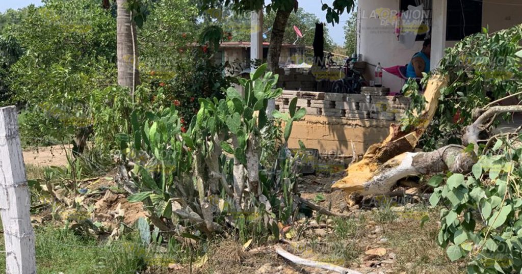 Dolly de tráiler se suelta y se impacta contra casa