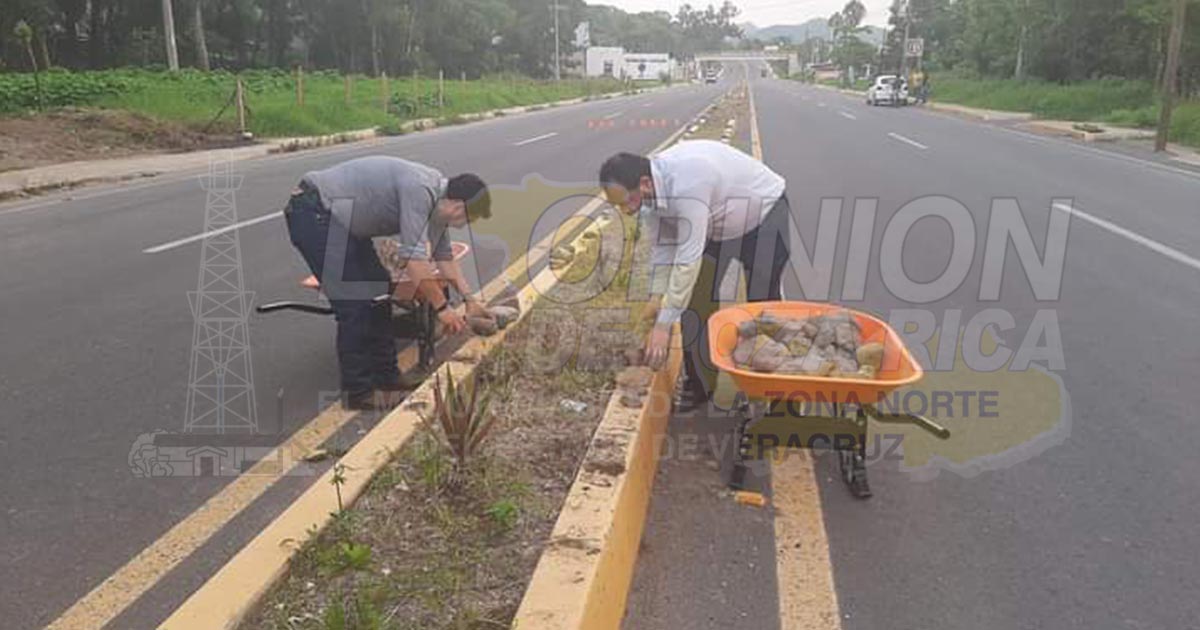 Inician preparativos para la festividad de Día de Muertos