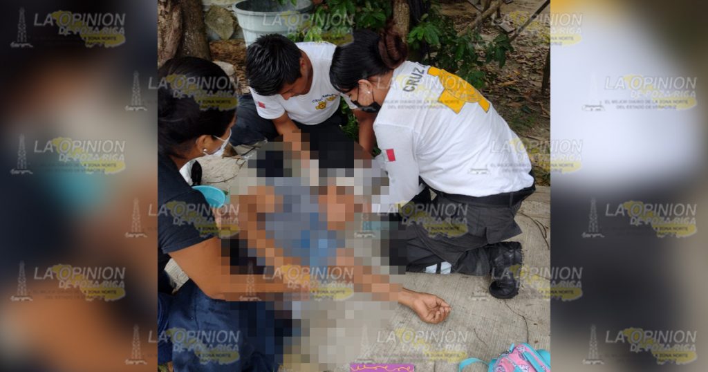 Muere al caer de un árbol