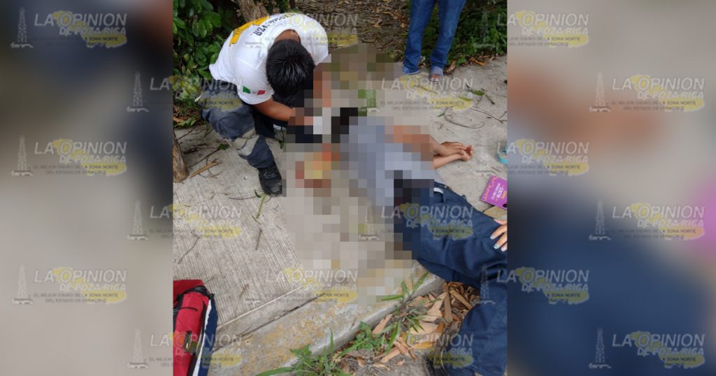 Muere al caer de un árbol