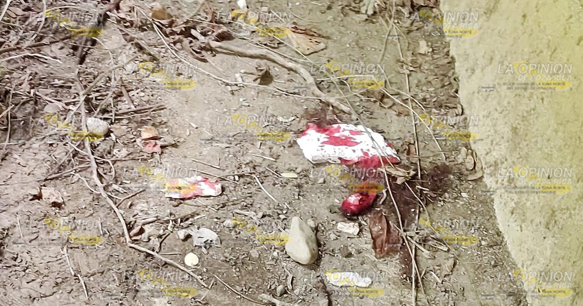 Indagan paradero de madre de bebé hallado debajo de un puente