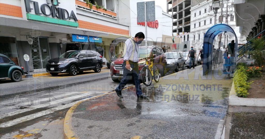 Trabajadores de la CAEV retiran foco de infección