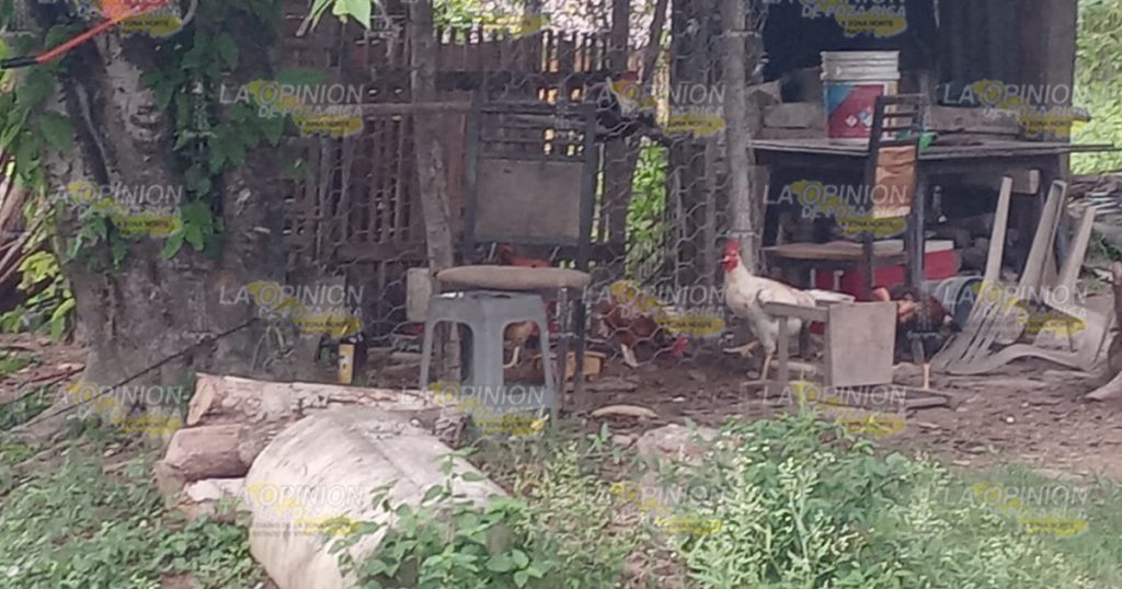 Joven herido de un balazo ingresa al regional de Poza Rica