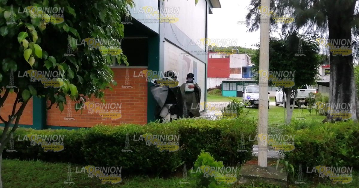 La “Generación Pokémon”, deja vacunas para después