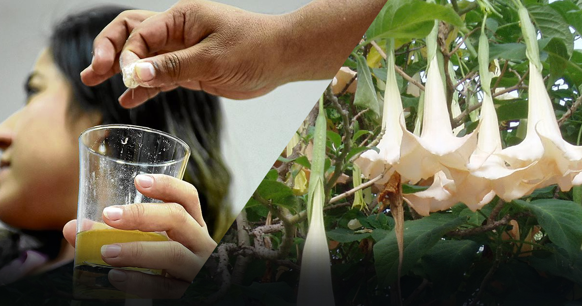 'La droga del silencio', así aplican burundanga o escopolamina en México