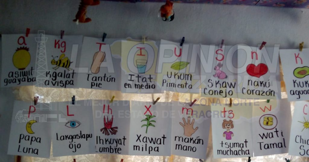 Lengua tutunakú, en riesgo de extinguirse en Coatzintla