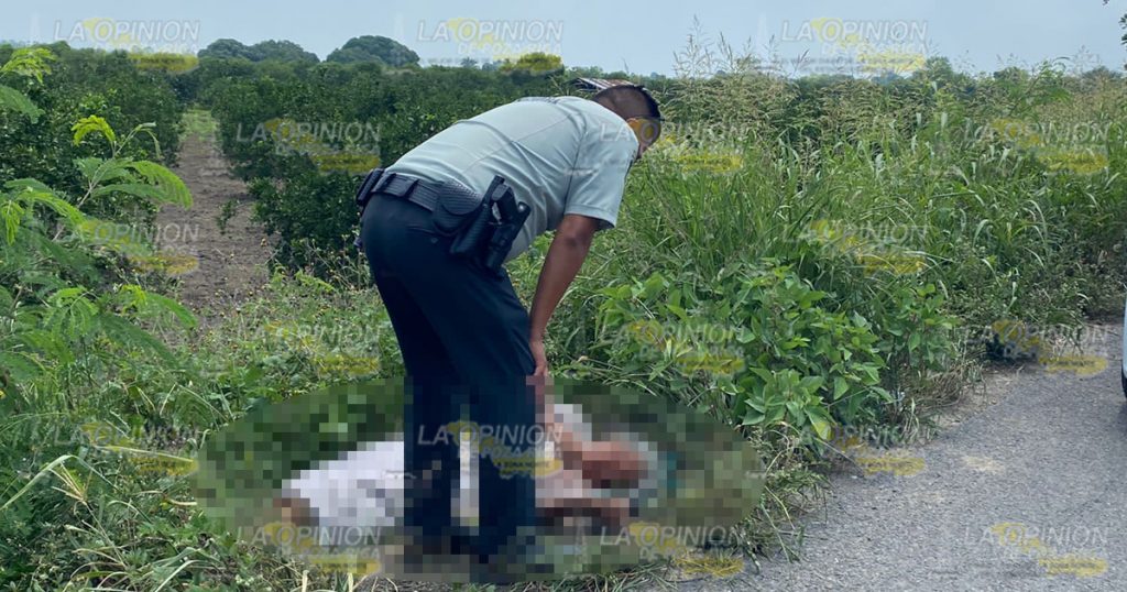 Localizan a septuagenaria a orilla de la carretera