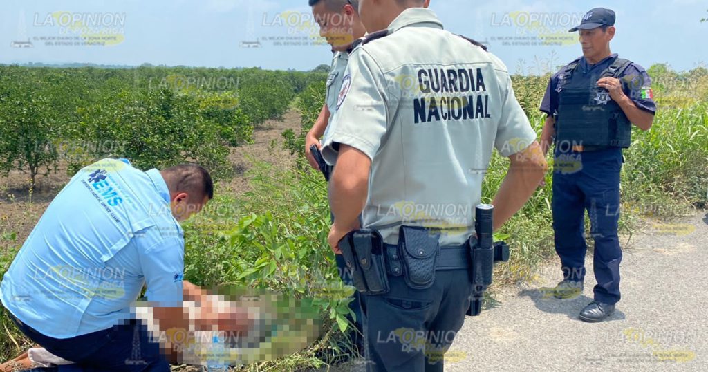 Localizan a septuagenaria a orilla de la carretera