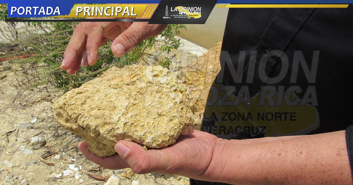 La urbe es un museo enterrado de animales prehistóricos