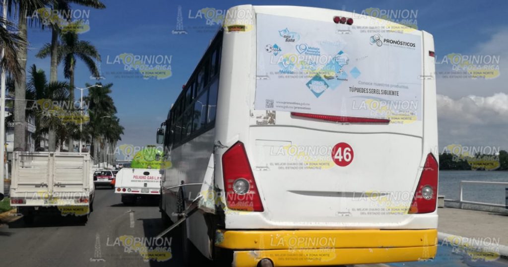 Pipa choca con un autobús