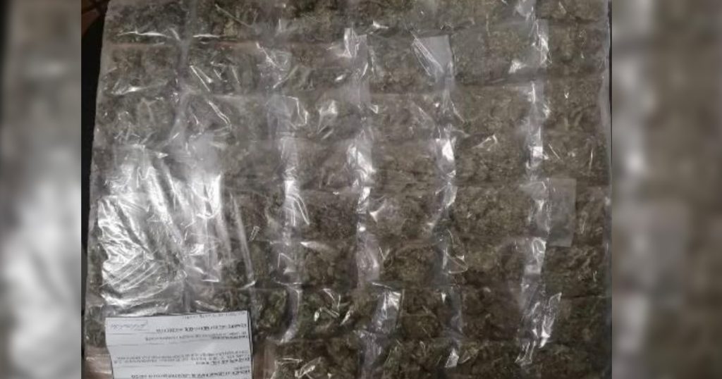 Registra SSP 64 detenciones en 19 municipios