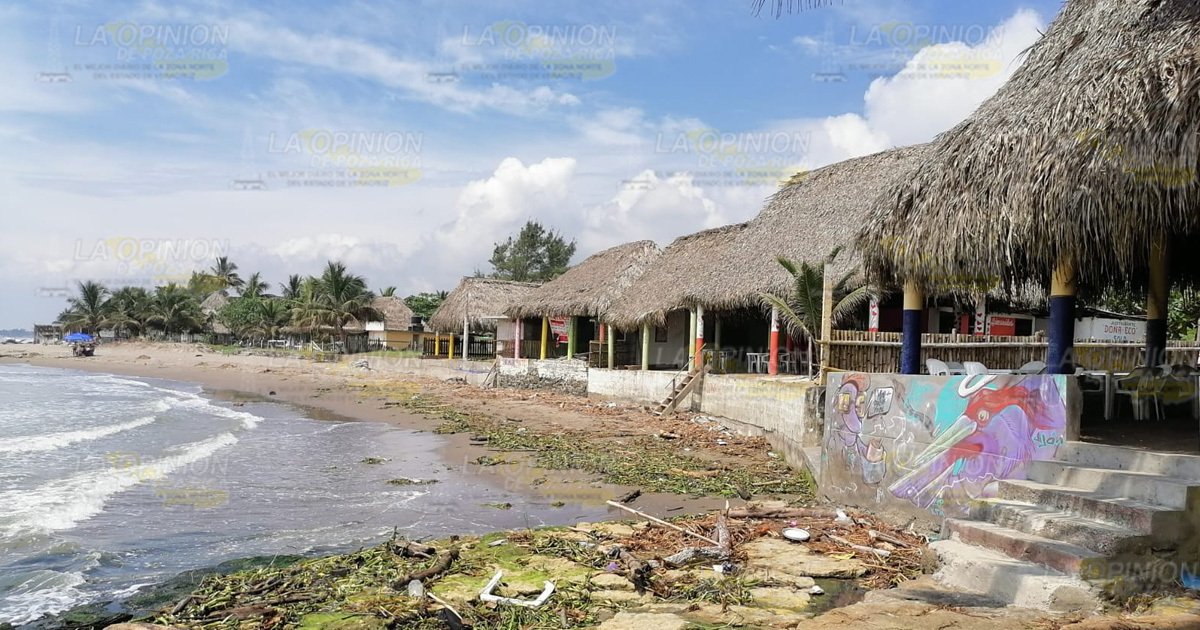 Vienen vacaciones de verano y las playas lucen sucias por palizada y lirio, en Cazones