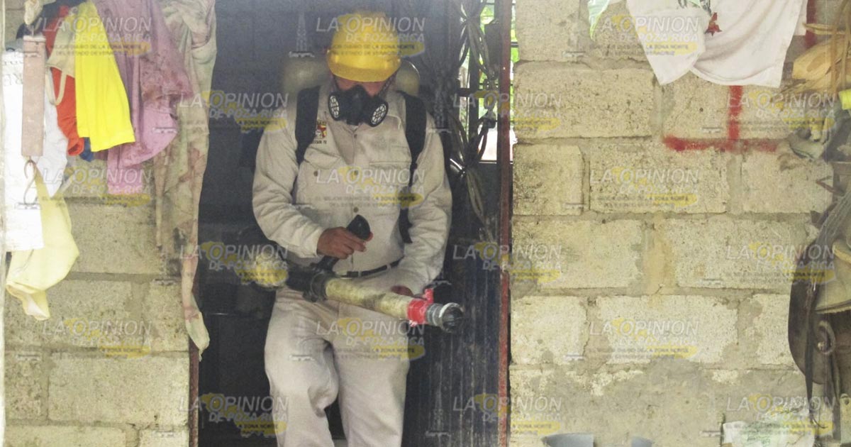 Alerta por brotes de dengue en Castillo de Teayo