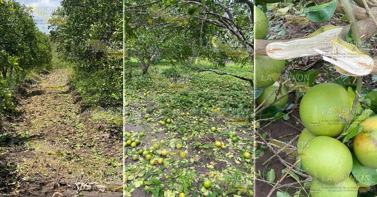 Aplicaran el seguro Catastrófico