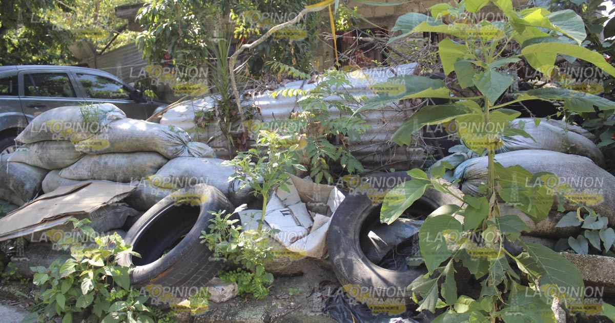 COVID-19 y dengue, amenazas en verano