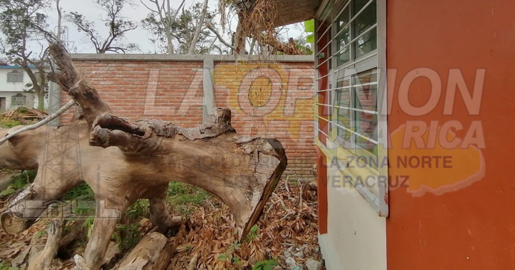 La mayoría de las escuelas resultaron dañadas por Grace; PC Cazones