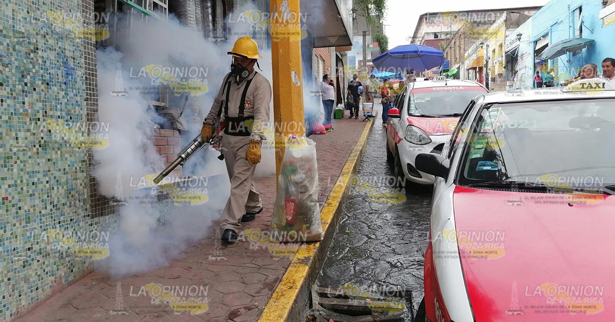 Fumigan la zona centro contra el dengue