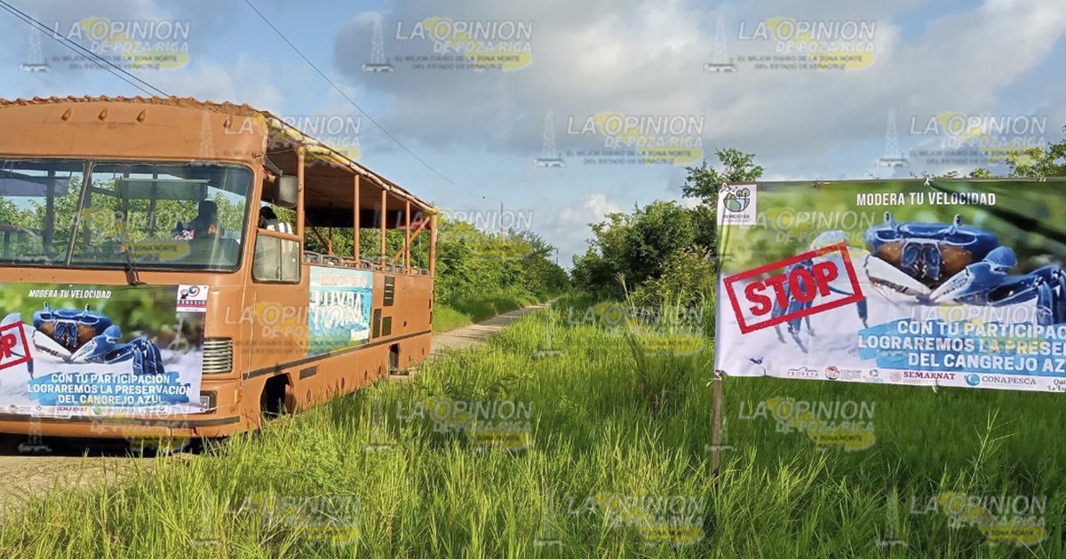 Lista la segunda campaña de protección al cangrejo