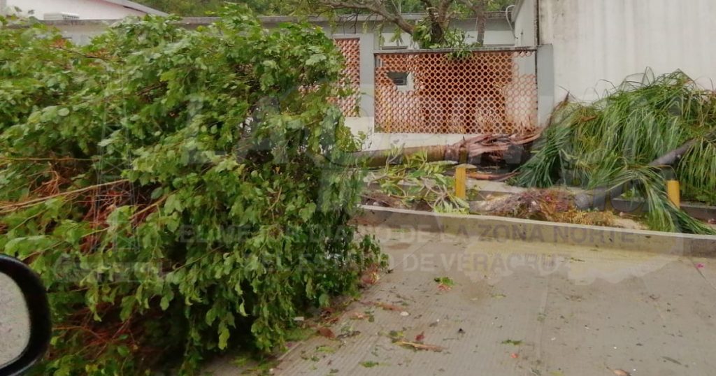 Miles de viviendas afectadas por Grace