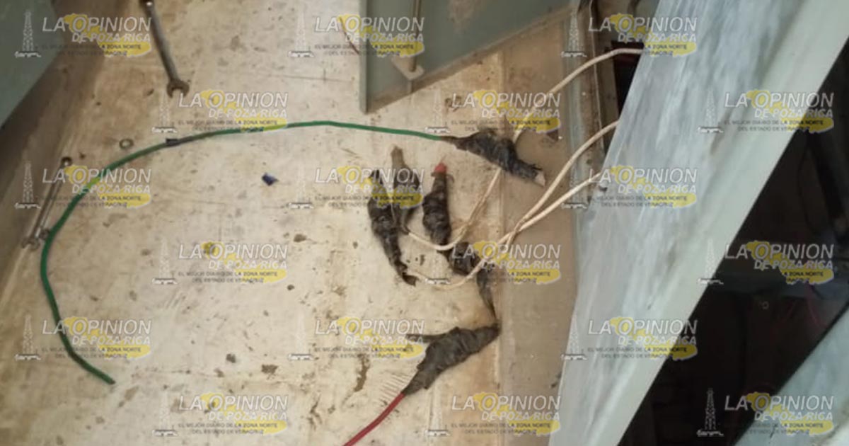 Roban equipos en planta de bombeo de la CAEV