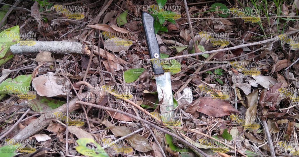 Aseguran camioneta abandonada