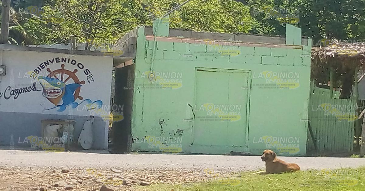 Abandonado el sector pesquero en Cazones