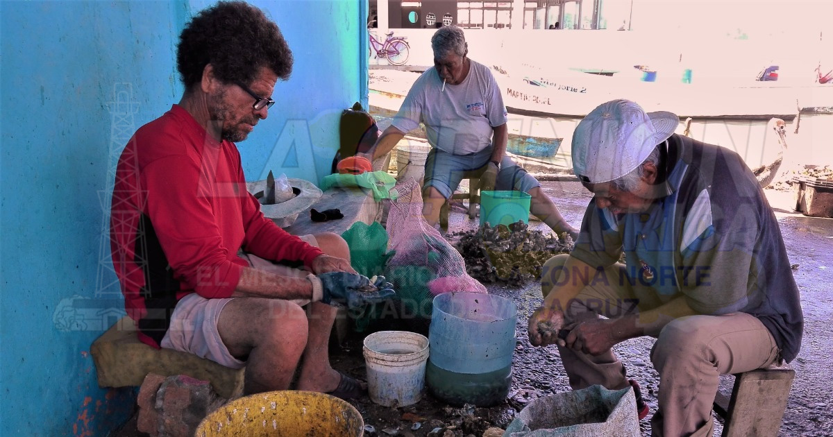 Alertan de riesgo por consumo de ostión crudo