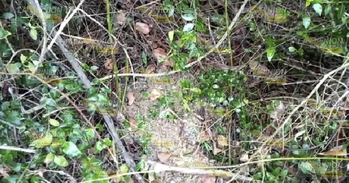 Aseguran dos tomas clandestinas en Tuxpan