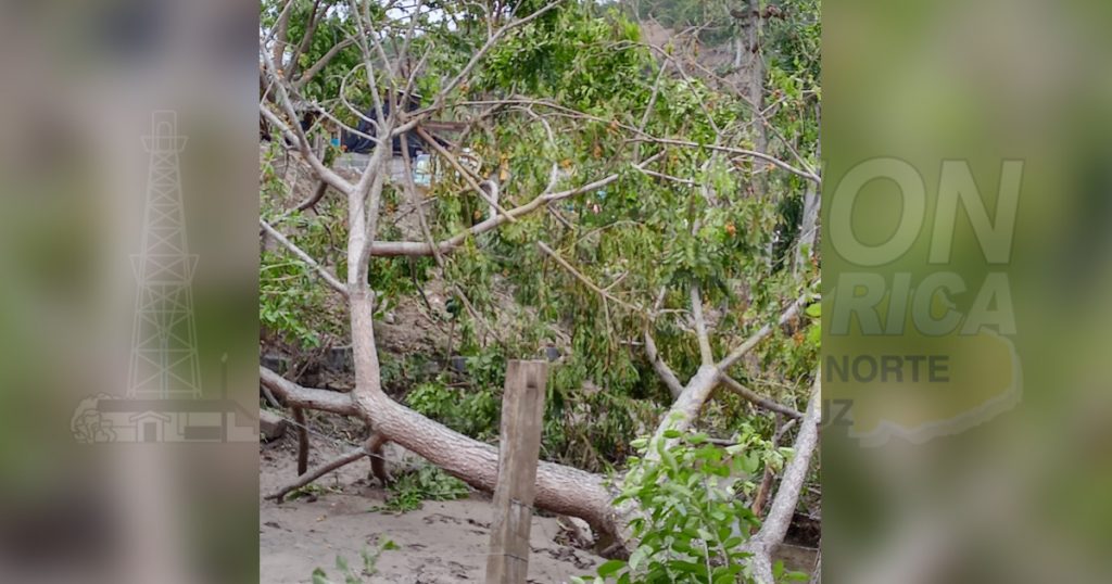 En Santa Águeda, lo perdieron todo