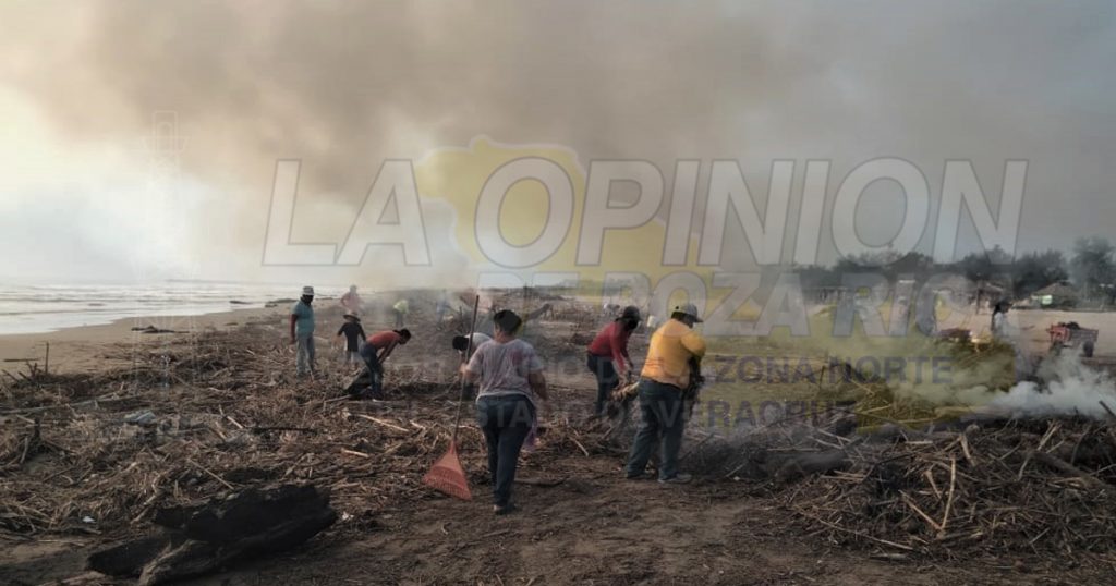 Incineran palizada en playa; no se dan abasto para el retiro